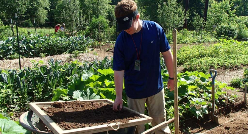 A person sifts dirt in a garden. 